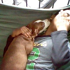 Meet your Posher, Safraz